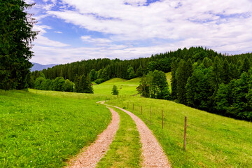 Curvy hiking path in the bavarian Alps with green meadow and fence