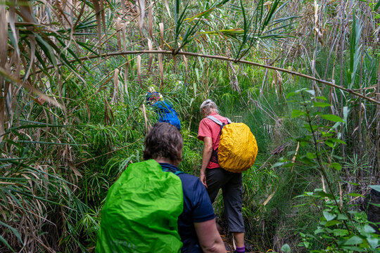 LA GOMERA, Kanarische Inseln: Wanderung bei Regen von drei Frauen zum Wasserfall in das wilde Tal Barranco de Arure bei VALLE GRAN REY