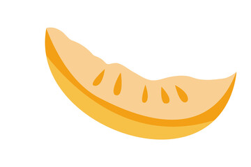 Minimalistic vector melon in trendy colors. Fruit illustration for menu and packaging