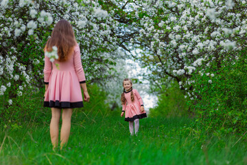 mother and daughter are walking through a blooming apple orchard