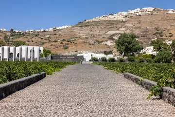 Rolgordijnen  Estate Argyros has been established in 1903,  It is the largest private owner of vineyards in Santorini and the current landholdings exceed 120 ha © wjarek