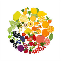 Circle of colorful berries and fruits. Flat style Vector Illustration.