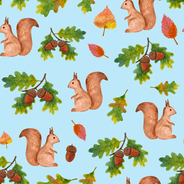 Seamless pattern with squirrels,
acorns and leaves on blue
background, watercolor 
hand drawing illustration