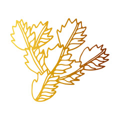 Hand drawn  golden cactus outline icon in doodle style. Vector liner illustration for print, web, mobile and infographics isolated on white background.  