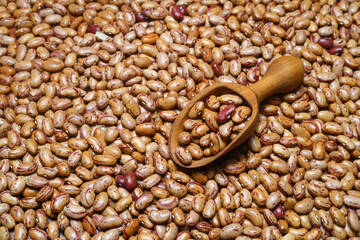 Kidney beans scattered close-up with a scoop