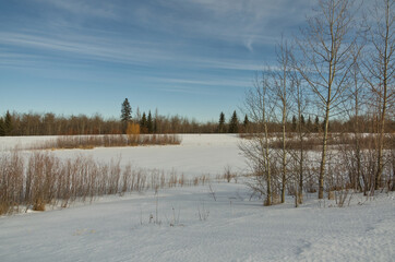 Pylypow Wetlands in the Winter