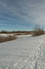 Pylypow Wetlands in the Winter