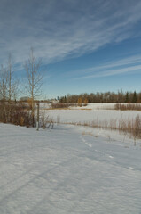 Obraz premium Pylypow Wetlands in the Winter