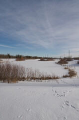 Pylypow Wetlands in the Winter