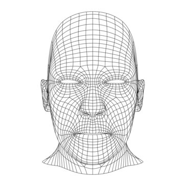 Wireframe Mesh Polygonal Human Head, Front View