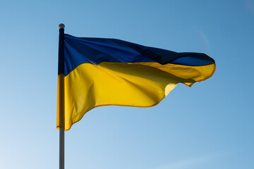 Ukrainian flag waving in wind and sunlight. Flag of Ukraine on blue sky background. National symbol of freedom and independence.