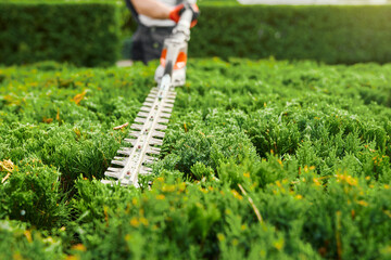 Close up of gardener pruning overgrown bushes with petrol hedge trimmer. Focus on modern gardening...
