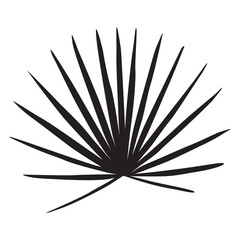 illustration of a palm branch