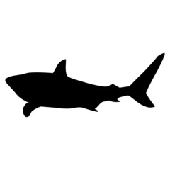 silhouette of a shark