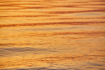 Colorful Ocean Wave. Sea water in smooth shape.