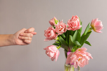 Female hand is showing a Fig gesture. Bouquet of pink tulips in a glass vase on the table. Humor concept