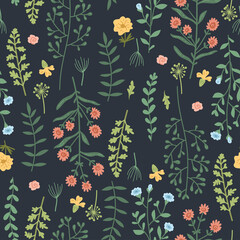 Beautiful watercolor wild field flowers seamless pattern. Floral repeat print background with colorful herbs and flowers. Vector illustration