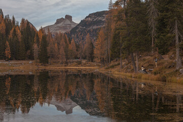 The Torre Toblin peaks and autumn colored woods reflecting on Lake Antorno, Dolomites, Italy. Popular travel destination