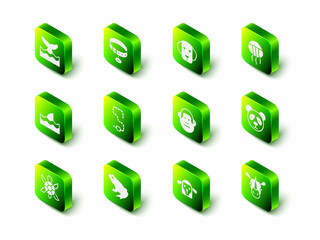 Set Collar with name tag, Dog, Jellyfish, Cute panda face, Rhinoceros, Monkey, Sheep head and Frog icon. Vector © Vadim