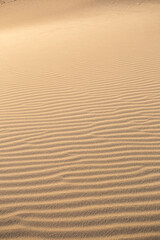 Sand dune texture in the desert