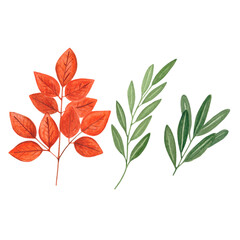 watercolor illustration of a set of green and orange tree leaves hand drawn on a white background
