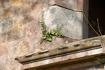 stone wall with moss