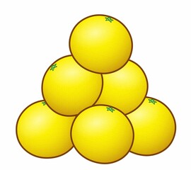 新鮮な美味しいグレープフルーツ