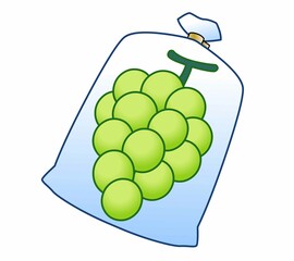 新鮮な美味しいマスカット