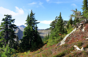 Fototapeta na wymiar Cascadian Mountains in the autumn sunrays