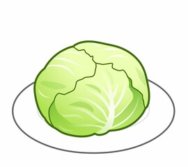 美味しい野菜のキャベツ
