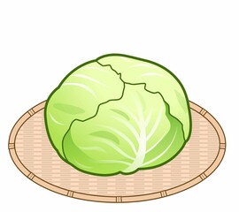 美味しい野菜のキャベツ
