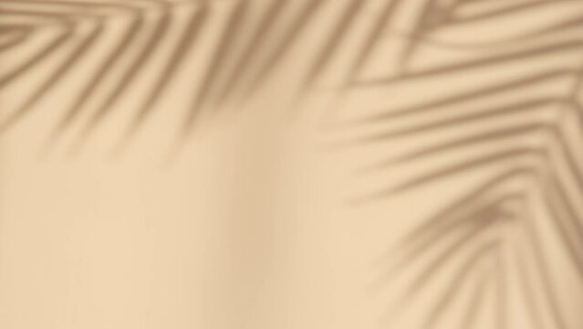 Abstract silhouette shadow white background of natural palm leaves tree branch falling on wall. Transparent blurry shadow of tropical leaves morning sun light