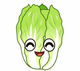 美味しい野菜のハクサイ