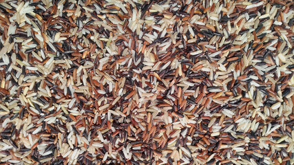 Riceberry that is not clean with a lot of dust