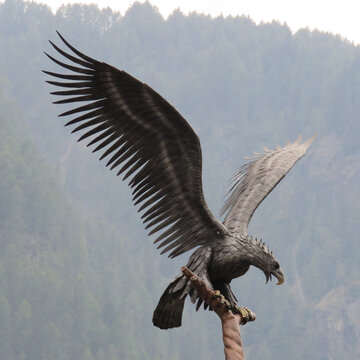 Steel eagle made by Italian artisans from Sottoguda