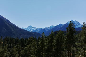 mountain forest blue sky sunny money nature landscape ecology