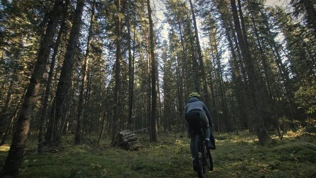 The woman travel on mixed terrain cycle touring with bike bikepacking outdoor. The traveler journey with bicycle bags. Stylish bikepacking, bike, sportswear in green black colors. Magic forest park.