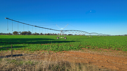 Centre-Pivot Irrigator in a Green Paddock Near Mulwala © Alistair