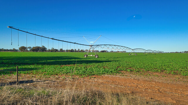 Centre-Pivot Irrigator in a Green Paddock Near Mulwala