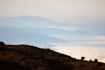 Cerro de Arcos Ecuador El Oro