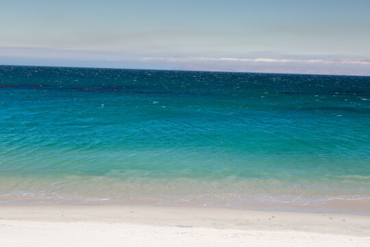 Channel Island Blues