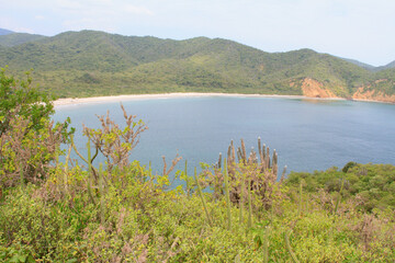 Seascape Manabi Ecuador Beach