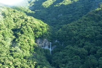 waterfall of heart shape in summer