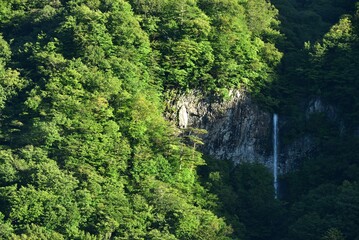 Fototapeta na wymiar waterfall of heart shape in summer
