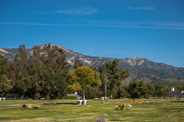 Santa Barbara, California, USA - February 8, 2022: Calvary Cemetery. Landscape, Many colorful flower bouquets and trees on green burial lawn under blue sky. Santa Ynez mountains on horizon.