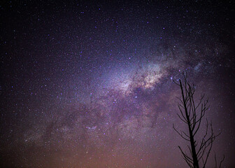 The constellation in the dance of the stars