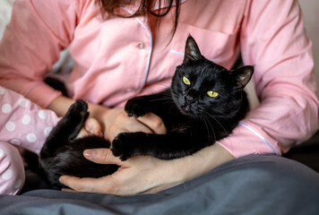 Little girl in pink pajamas reaches out to pet a black cat.Happy family time at home. Candid...