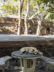 Chiang Mai Thailand Ancient Temple