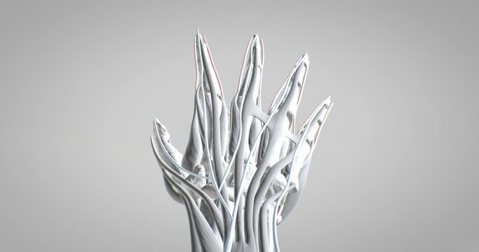Anatomy of the hand, detailed display of muscles, human muscular system, 3D animation of human anatomy, 3D render