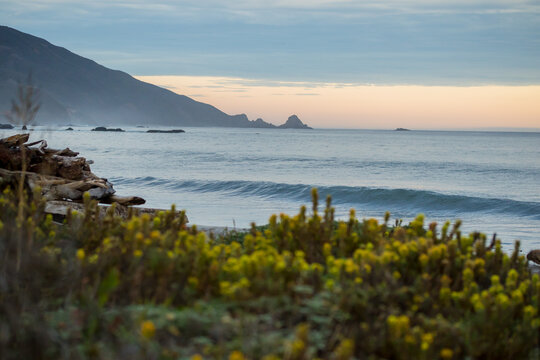 Andrew Molera Dusk